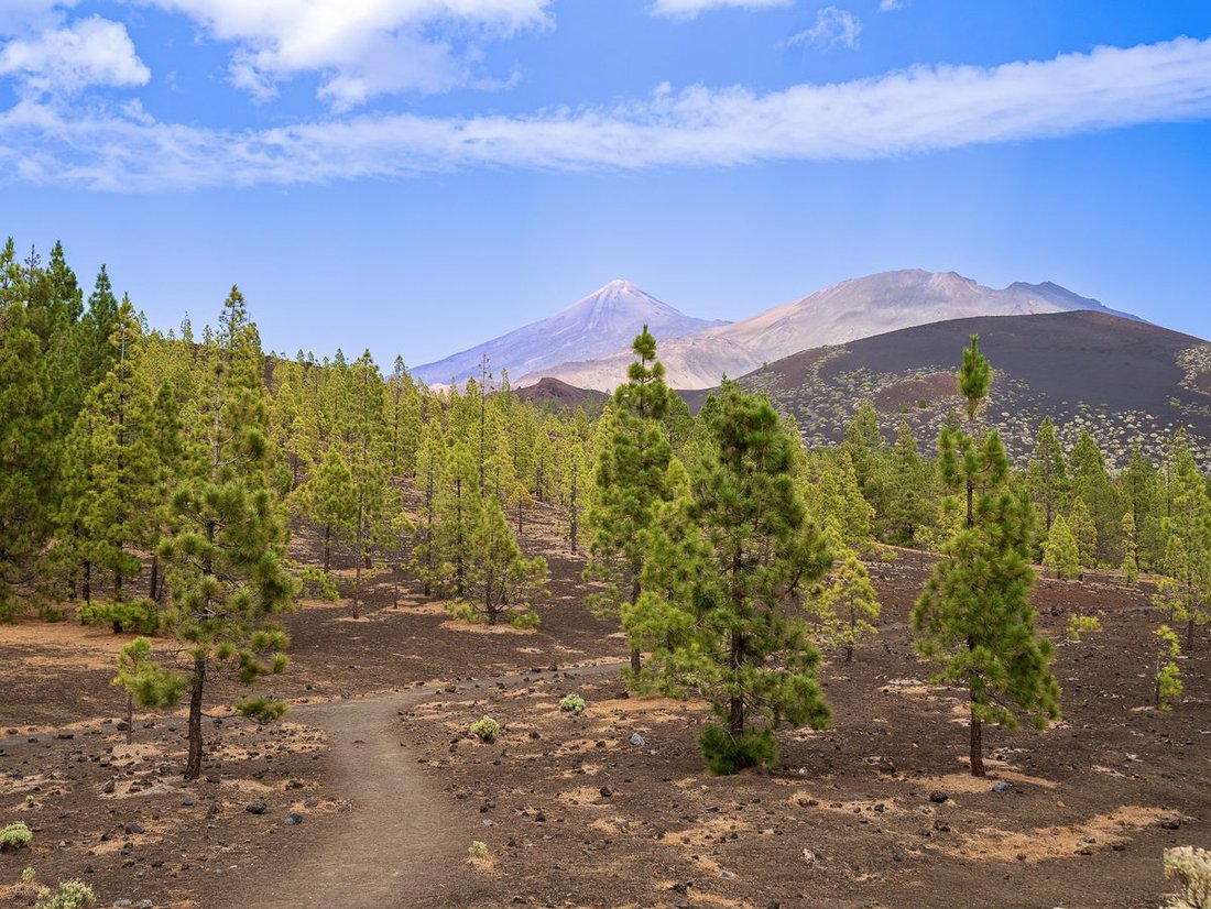 Tenerife 15