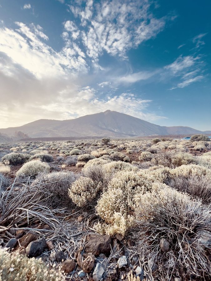 Tenerife 23